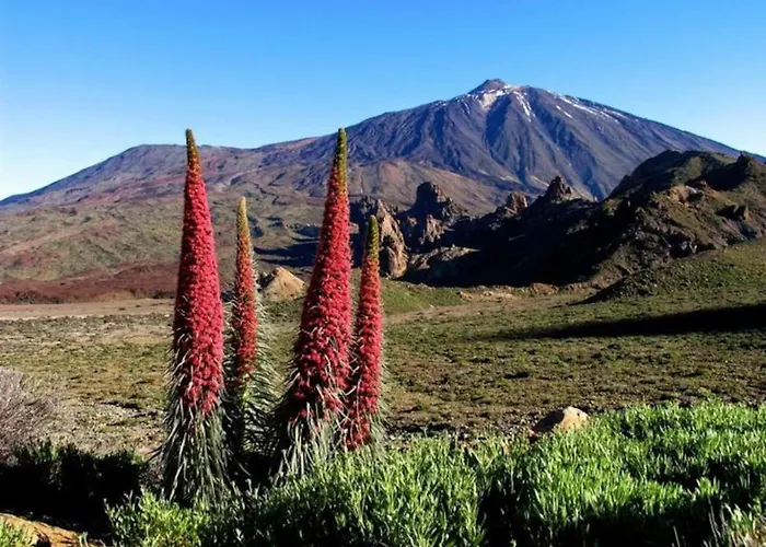 Bright Spacious Apartment, 2 Min Walk From * Candelaria