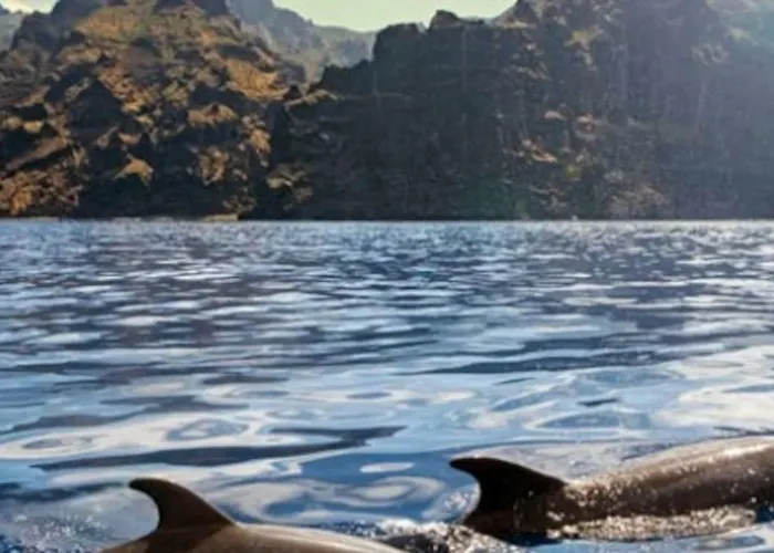 Bright Spacious Apartment, 2 Min Walk From