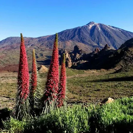 Bright Spacious Apartment, 2 Min Walk From * 坎德拉里亚