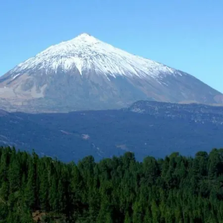 公寓 Bright Spacious Apartment, 2 Min Walk From