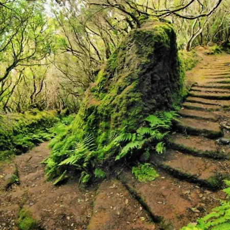 公寓 Bright Spacious Apartment, 2 Min Walk From 坎德拉里亚