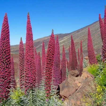 公寓 Bright Spacious Apartment, 2 Min Walk From *