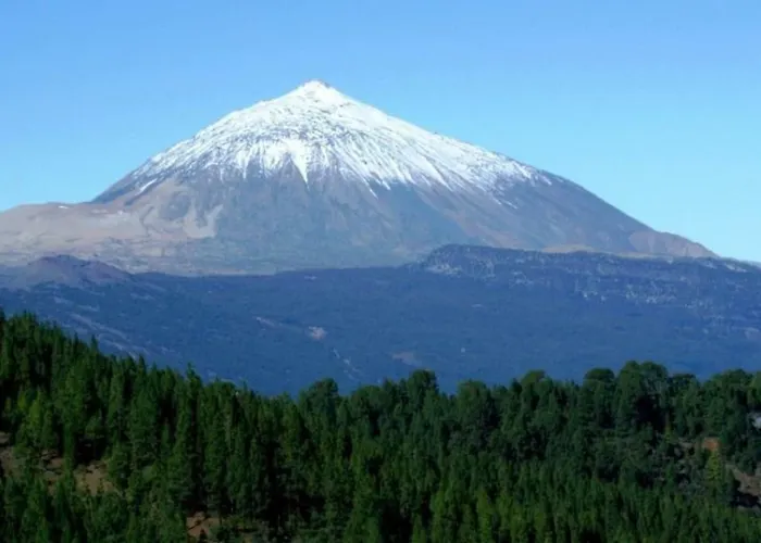 Apartment Bright Spacious Apartment, 2 Min Walk From