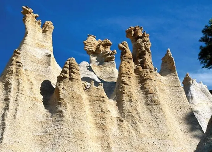 Bright Spacious Apartment, 2 Min Walk From