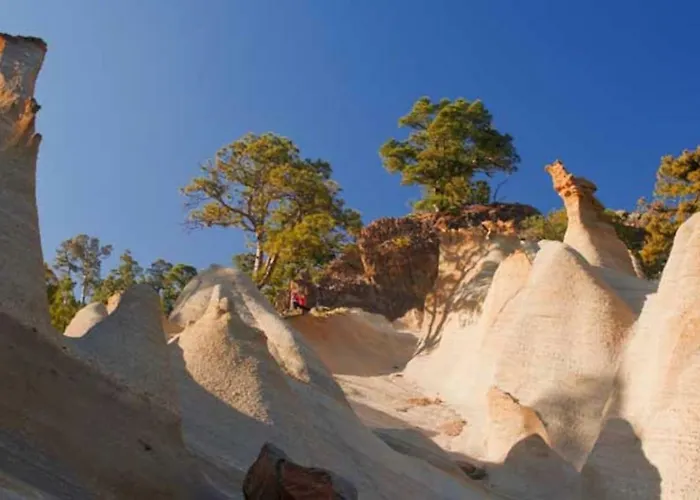 Bright Spacious Apartment, 2 Min Walk From Candelaria