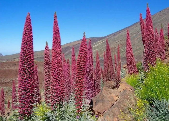 Apartment Bright Spacious Apartment, 2 Min Walk From *